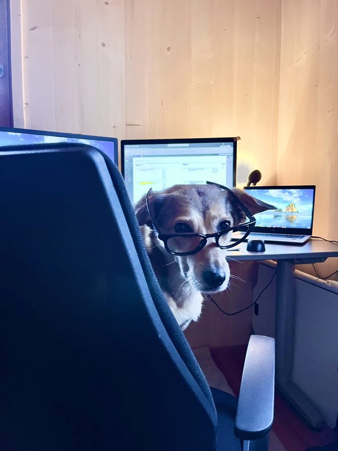 Hund und Mensch in Verbundenheit in einer Outdoor-Umgebung